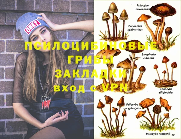 меф Алексеевка