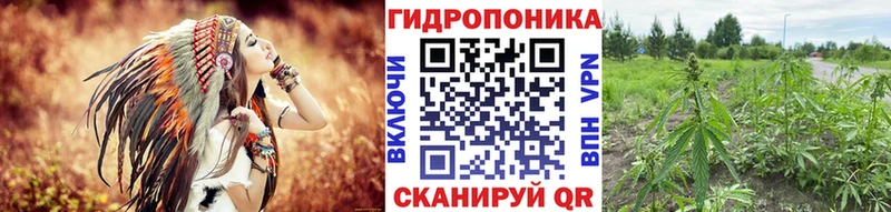 Шишки марихуана семена  сколько стоит  Жуков 